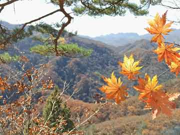 俄視角下的美國(guó)與朝鮮半島局勢(shì)，戰(zhàn)火燃燒的擔(dān)憂(yōu)與緊張局勢(shì)分析