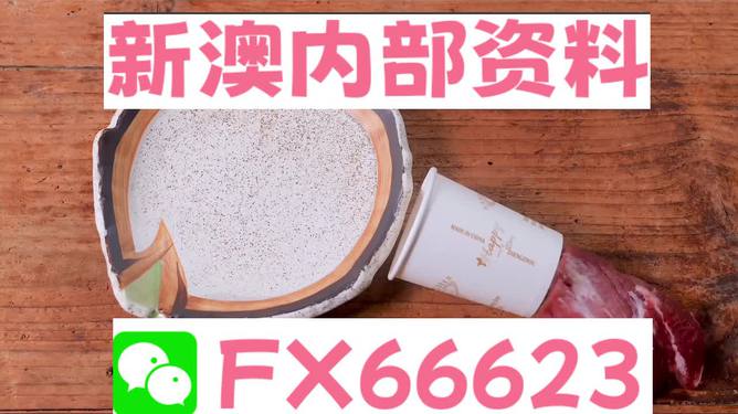 香港新澳精準(zhǔn)資料免費(fèi)提供，動態(tài)詞語解釋落實_The87.78.77