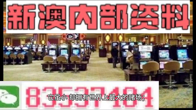 2024新澳精準資料免費，絕對經(jīng)典解釋落實_The47.77.6