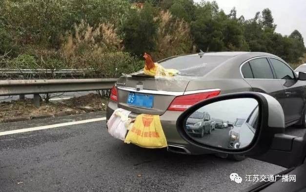 車主高速遇陪跑伙伴，雙閃告別顯真情