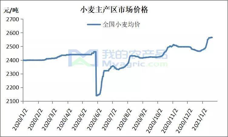 關(guān)于小麥價格的最新行情，以2月26日為例的行情分析（附小麥價格表）