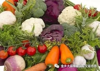 秋季蔬菜盛宴，豐富多樣且供應(yīng)充足的原因分析