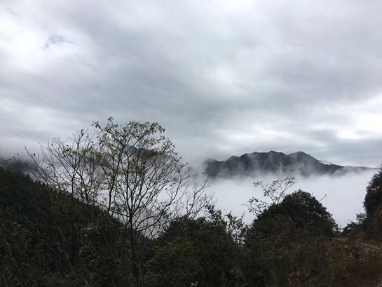 探索自然美景之旅，尋找內(nèi)心的平和與寧靜——Lu福利之旅的驚喜等待您！