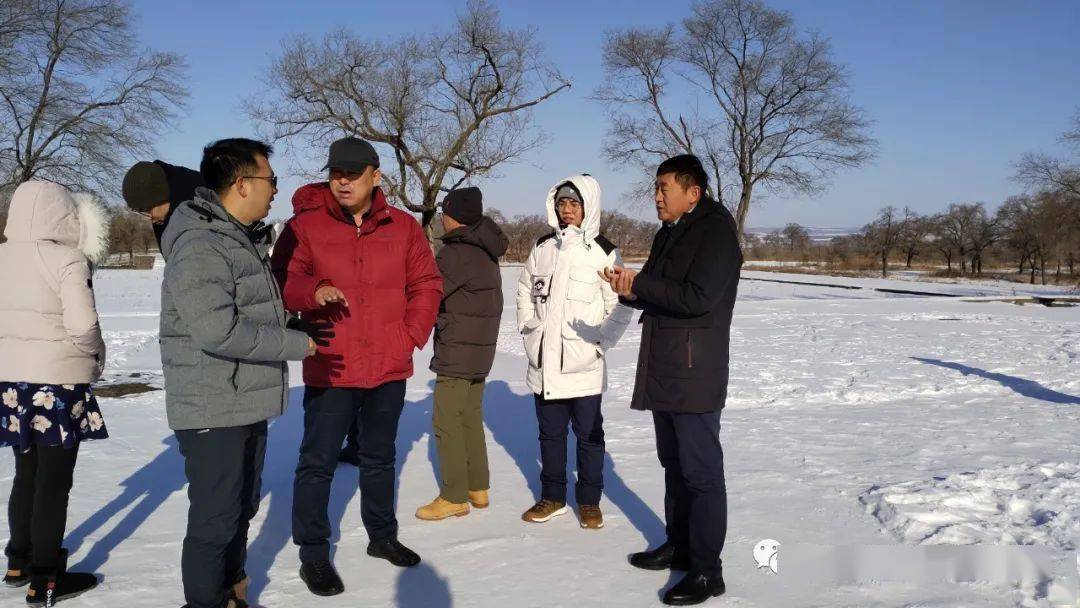 金鳳鎮(zhèn)規(guī)劃最新動態(tài)深度解析，各方觀點與個人立場探討，最新消息新聞發(fā)布