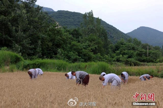 種麥啟程，探尋變化之力與人生豐收季的收獲之道