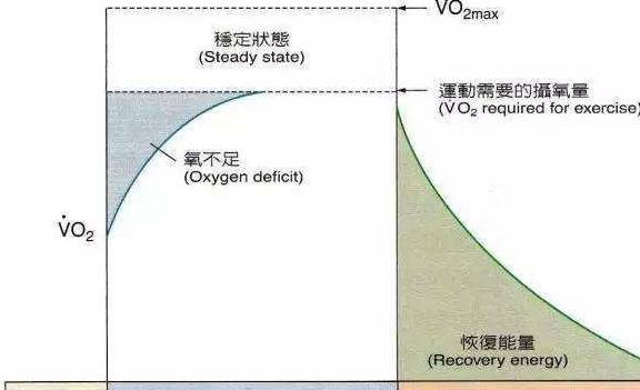 最新生理周期解析，洞悉健康奧秘，掌握生理日歷的規(guī)律