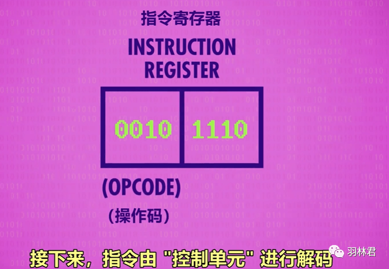 管家婆一碼一肖寶典，全面解析評估_珍稀版ZLK925.53