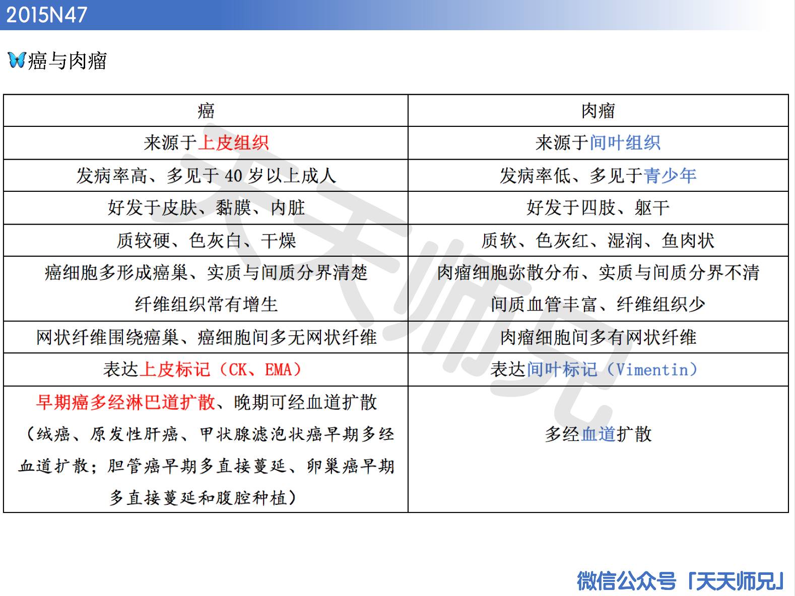 246天天天彩天好彩944cc,決策資料落實_完整版121.51