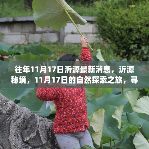 沂源秘境探索，11月17日的自然之旅，探尋桃花源般的心靈之地