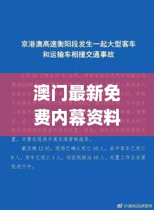 澳門最新免費內幕資料，11月19日深度解析與解答方案_SVP8.12.34標準版