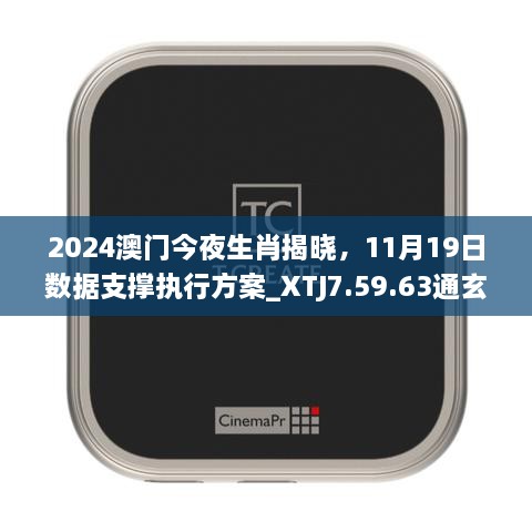 2024澳門今夜生肖揭曉，11月19日數據支撐執(zhí)行方案_XTJ7.59.63通玄境