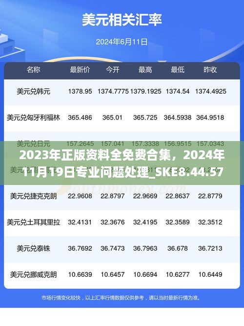 2023年正版資料全免費(fèi)合集，2024年11月19日專業(yè)問題處理_SKE8.44.57定制版