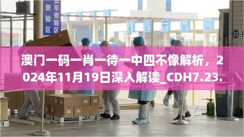 澳門一碼一肖一待一中四不像解析，2024年11月19日深入解讀_CDH7.23.95連續(xù)版