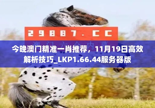 今晚澳門精準(zhǔn)一肖推薦，11月19日高效解析技巧_LKP1.66.44服務(wù)器版