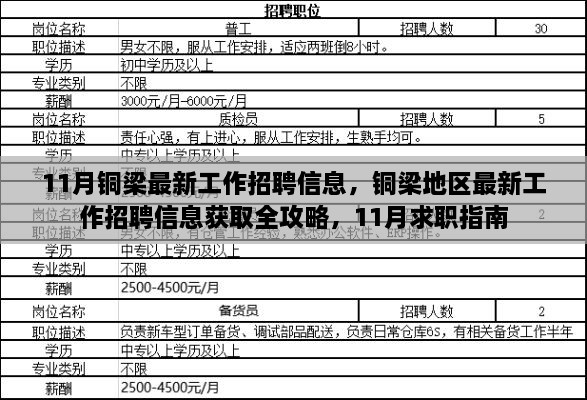 銅梁地區(qū)最新招聘全攻略，求職指南與招聘信息獲取指南（11月版）