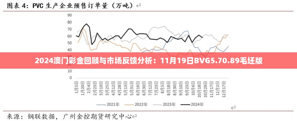 2024澳門彩金回顧與市場反饋分析：11月19日BVG5.70.89毛坯版