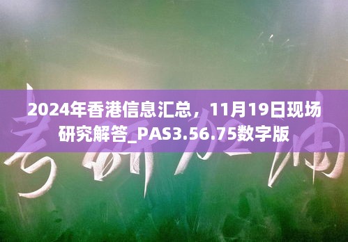 2024年香港信息匯總，11月19日現(xiàn)場研究解答_PAS3.56.75數(shù)字版