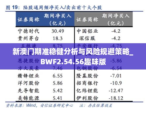 新澳門期準(zhǔn)穩(wěn)健分析與風(fēng)險規(guī)避策略_BWF2.54.56趣味版