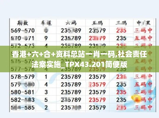 香港+六+合+資料總站一肖一碼,社會(huì)責(zé)任法案實(shí)施_TPX43.201簡(jiǎn)便版