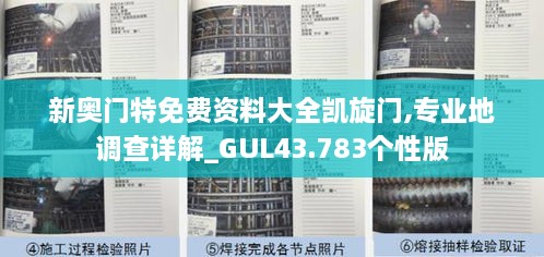 新奧門(mén)特免費(fèi)資料大全凱旋門(mén),專業(yè)地調(diào)查詳解_GUL43.783個(gè)性版