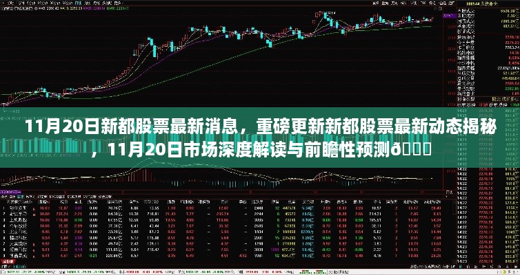 11月20日新都股票最新動態(tài)與市場深度解讀，前瞻性預(yù)測揭秘??