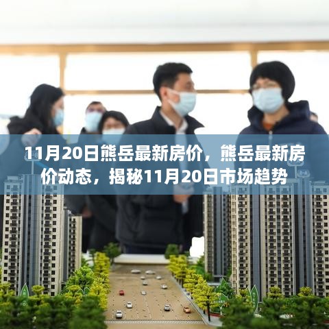 揭秘，熊岳最新房價動態(tài)及市場趨勢（11月20日更新）