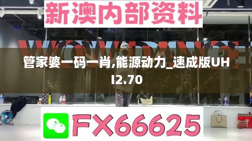 管家婆一碼一肖,能源動力_速成版UHI2.70