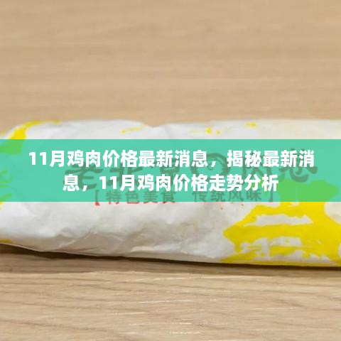 揭秘最新消息，11月雞肉價(jià)格走勢(shì)分析與預(yù)測(cè)