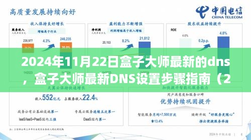 2024年11月22日盒子大師最新的dns，盒子大師最新DNS設(shè)置步驟指南（2024年11月版）