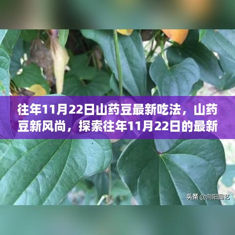 探索山藥豆新風尚，往年11月22日最新山藥豆吃法揭秘