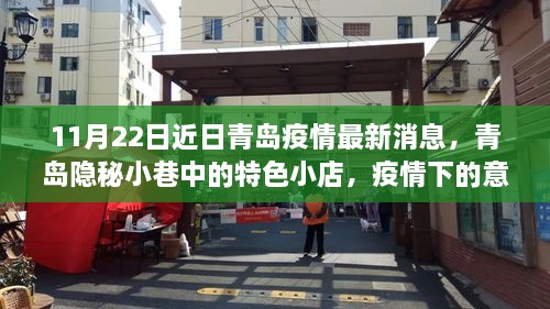 青島隱秘小巷特色小店，疫情下的意外驚喜與最新消息（11月22日更新）