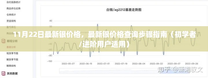 最新銀價(jià)格查詢指南，步驟詳解，適用于初學(xué)者與進(jìn)階用戶（11月22日更新）