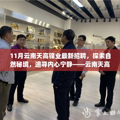 云南天高鎳業(yè)11月最新招聘啟事，探索自然秘境，追尋心靈寧靜之旅