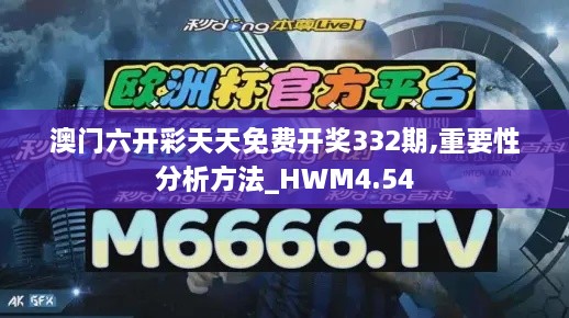 澳門六開彩天天免費(fèi)開獎(jiǎng)332期,重要性分析方法_HWM4.54