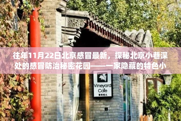 探秘北京小巷深處的特色小店，感冒防治秘密花園