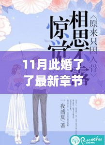 11月此婚了了最新章節(jié)，婚緣十一月，溫馨日常與愛的紐帶