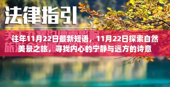 11月22日，自然美景之旅，探尋內(nèi)心的寧靜與詩意遠方