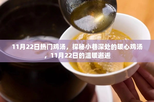 探秘小巷深處的暖心雞湯，11月22日的溫暖邂逅之旅