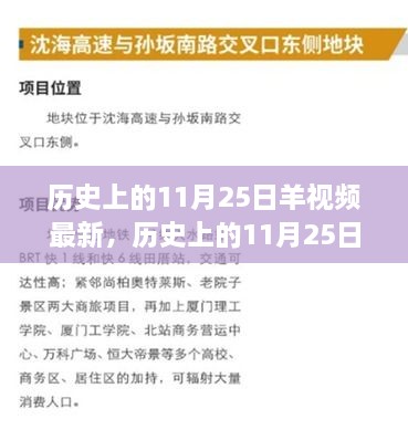 歷史上的11月25日，羊視頻現(xiàn)象背后的故事與影響揭秘