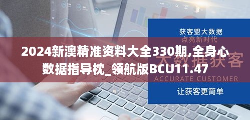 2024新澳精準資料大全330期,全身心數據指導枕_領航版BCU11.47