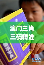 澳門三肖三碼精準(zhǔn)100%新華字典332期,社會承擔(dān)實踐戰(zhàn)略_經(jīng)典版BRL11.19