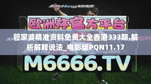 管家婆精準(zhǔn)資料免費(fèi)大全香港333期,解析解釋說法_電影版PQN11.17