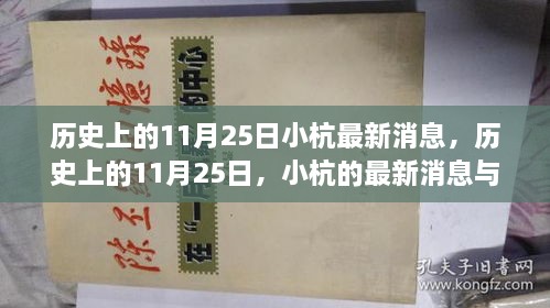 歷史上的11月25日，小杭的最新消息與深遠(yuǎn)影響揭秘