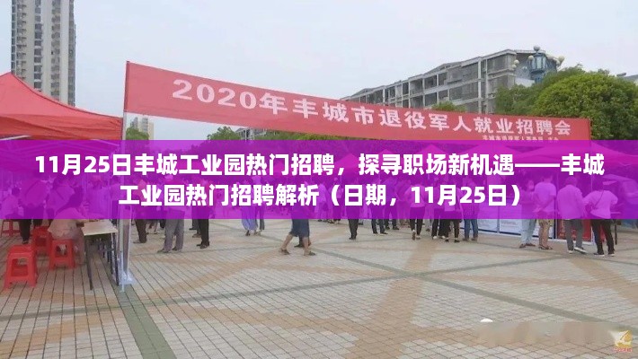 探尋職場新機遇，豐城工業(yè)園熱門招聘解析（日期，11月25日）