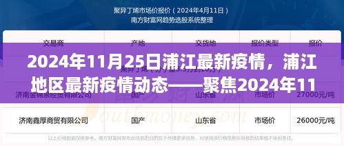 2024年11月25日浦江地區(qū)疫情動(dòng)態(tài)，防控進(jìn)展與科普解讀