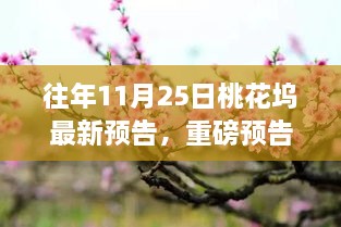 往年11月25日桃花塢全新篇章重磅預(yù)告即將綻放