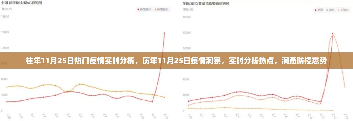 歷年與即時洞察，11月25日疫情深度分析與防控態(tài)勢實時觀察