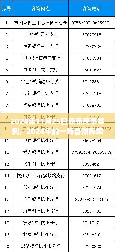 民事案例背后的心靈之旅，自然探索之旅的啟示（2024年最新案例）