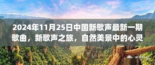 心靈和弦的共鳴，2024年11月25日中國(guó)新歌聲之旅的自然美景啟示