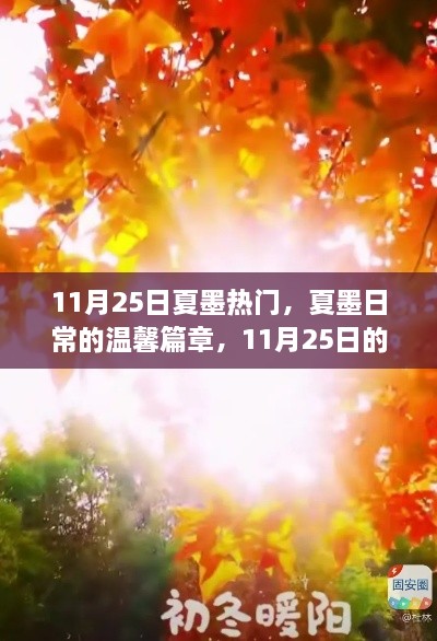 夏墨日常，11月25日的暖陽(yáng)時(shí)光與溫馨篇章